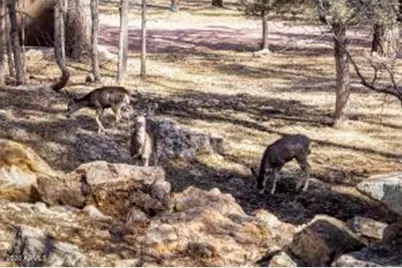 2067 Verde Road, Happy Jack, AZ 86024 - Photo 28