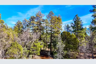 6101 E Starlight Ridge Road Road #13, Lakeside, AZ 85929 - Photo 12