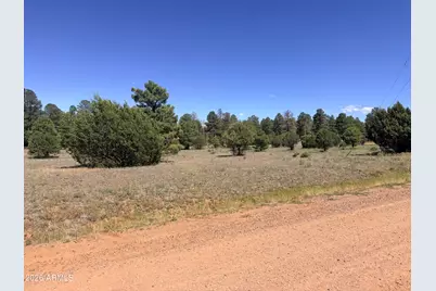 2287 Meadow Lane #165, Overgaard, AZ 85933 - Photo 4