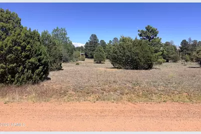 2287 Meadow Lane #165, Overgaard, AZ 85933 - Photo 2
