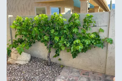 4179 S Tigre Del Mar Drive, Gold Canyon, AZ 85118 - Photo 20