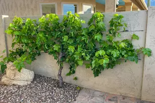 4179 S Tigre Del Mar Dr, Gold Canyon, AZ 85118 - Photo 20