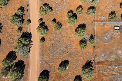 8396 Bear Meadow Drive #34, Show Low, AZ 85901 - Photo 6