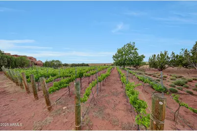 14 Cr 5309 --, Concho, AZ 85924 - Photo 46
