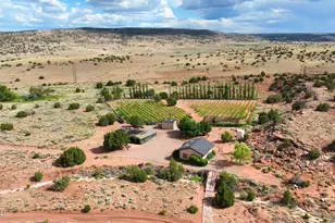 14 CR 5309, Concho, AZ 85924 - Photo 34