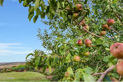 14 Cr 5309 --, Concho, AZ 85924 - Photo 36