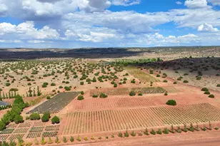 14 CR 5309, Concho, AZ 85924 - Photo 50