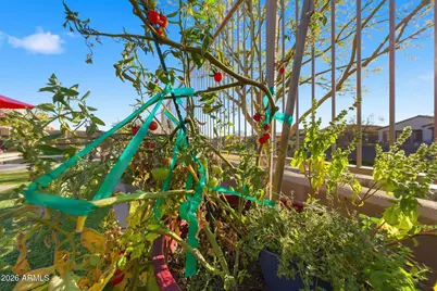 16718 S 181st Avenue, Goodyear, AZ 85338 - Photo 60