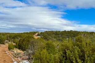 0 W Elkhorn Pass 36 Acres --, Seligman, AZ 86337 - Photo 1