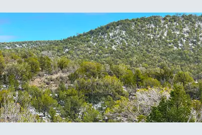 0 W Elkhorn Pass 36 Acres -- #-, Seligman, AZ 86337 - Photo 6