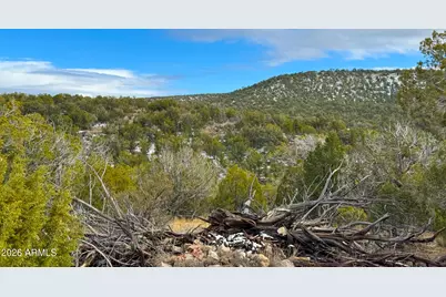 0 W Elkhorn Pass 36 Acres -- #-, Seligman, AZ 86337 - Photo 4