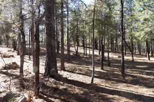 1884 Blue Sky Cir, Happy Jack, AZ 86024 - Photo 38