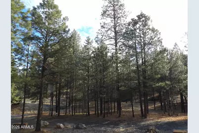 1884 Blue Sky Circle, Happy Jack, AZ 86024 - Photo 36