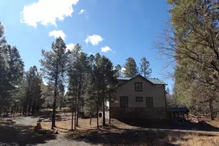 1884 Blue Sky Cir, Happy Jack, AZ 86024 - Photo 10