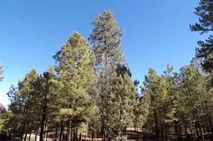 1884 Blue Sky Cir, Happy Jack, AZ 86024 - Photo 40