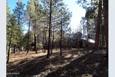 1884 Blue Sky Circle, Happy Jack, AZ 86024 - Photo 8