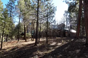 1884 Blue Sky Cir, Happy Jack, AZ 86024 - Photo 8