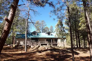 1884 Blue Sky Cir, Happy Jack, AZ 86024 - Photo 4