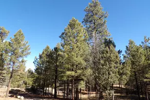 1884 Blue Sky Cir, Happy Jack, AZ 86024 - Photo 42