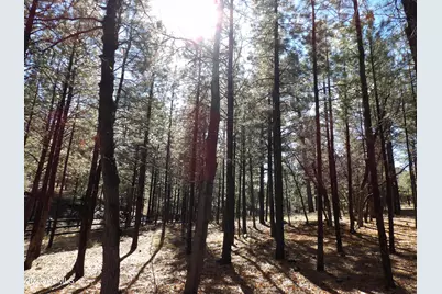 1884 Blue Sky Circle, Happy Jack, AZ 86024 - Photo 38