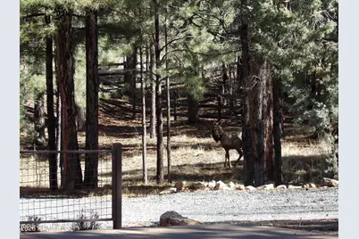 1884 Blue Sky Circle, Happy Jack, AZ 86024 - Photo 40