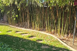 4018 E Harrison St, Gilbert, AZ 85295 - Photo 44