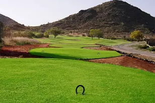 30475 N Royal Oak Way, San Tan Valley, AZ 85143 - Photo 66