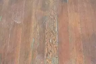 313 N 47th St, Phoenix, AZ 85008 - Photo 16