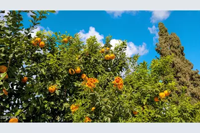 8108 E Del Joya Drive, Scottsdale, AZ 85258 - Photo 54