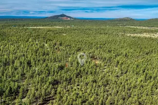 4 74 Acres Birdsong Way, Lakeside, AZ 85929 - Photo 1