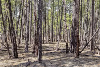 4.74 Acres Birdsong Way #-, Lakeside, AZ 85929 - Photo 8