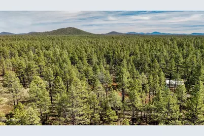 4.74 Acres Birdsong Way #-, Lakeside, AZ 85929 - Photo 6