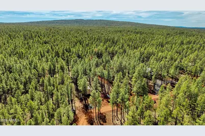 4.74 Acres Birdsong Way #-, Lakeside, AZ 85929 - Photo 4