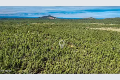 4.74 Acres Birdsong Way #-, Lakeside, AZ 85929 - Photo 4