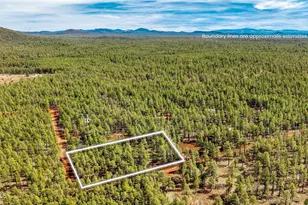 1 Acre Birdsong Way, Lakeside, AZ 85929 - Photo 1