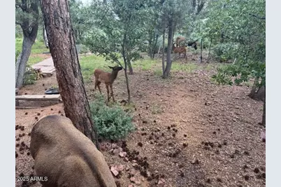 6215 W Sharyn Road, Pine, AZ 85544 - Photo 78