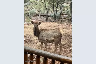 6215 W Sharyn Road, Pine, AZ 85544 - Photo 76