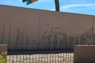 8787 E Mountain View Rd, Scottsdale, AZ 85258 - Photo 46