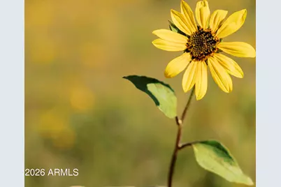 2351 Quarter Horse Trail #134, Overgaard, AZ 85933 - Photo 36