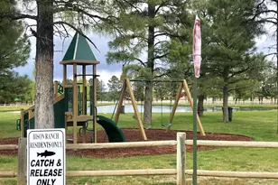 2351 Quarter Horse Trl, Overgaard, AZ 85933 - Photo 32