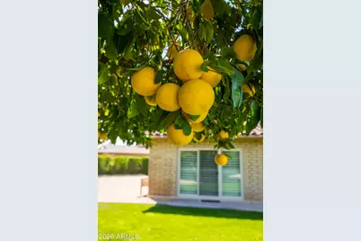 7528 N Del Norte Drive, Scottsdale, AZ 85258 - Photo 32