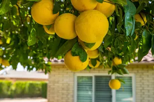 7528 N Del Norte Dr, Scottsdale, AZ 85258 - Photo 32