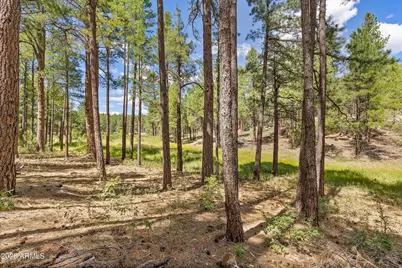 3456 Laurie Lane #9, Flagstaff, AZ 86005 - Photo 32