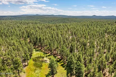 3456 Laurie Lane #9, Flagstaff, AZ 86005 - Photo 14