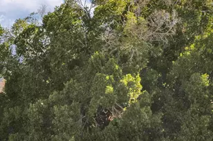 7557 N Dreamy Draw Dr, Phoenix, AZ 85020 - Photo 26