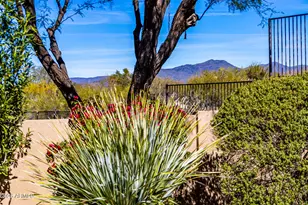 33655 N 78th Pl, Scottsdale, AZ 85266 - Photo 60