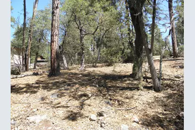 6454 W Bradshaw Drive #116, Pine, AZ 85544 - Photo 4