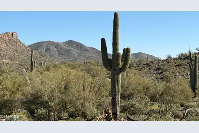 131 W Bingham Drive, New River, AZ 85087 - Photo 4