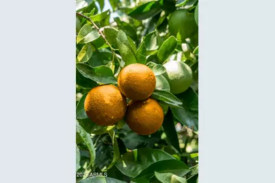 14619 E Roy Rogers Road, Scottsdale, AZ 85262 - Photo 40