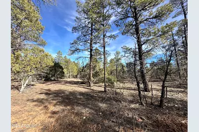 321 W Aspen Trail #240, Show Low, AZ 85901 - Photo 6